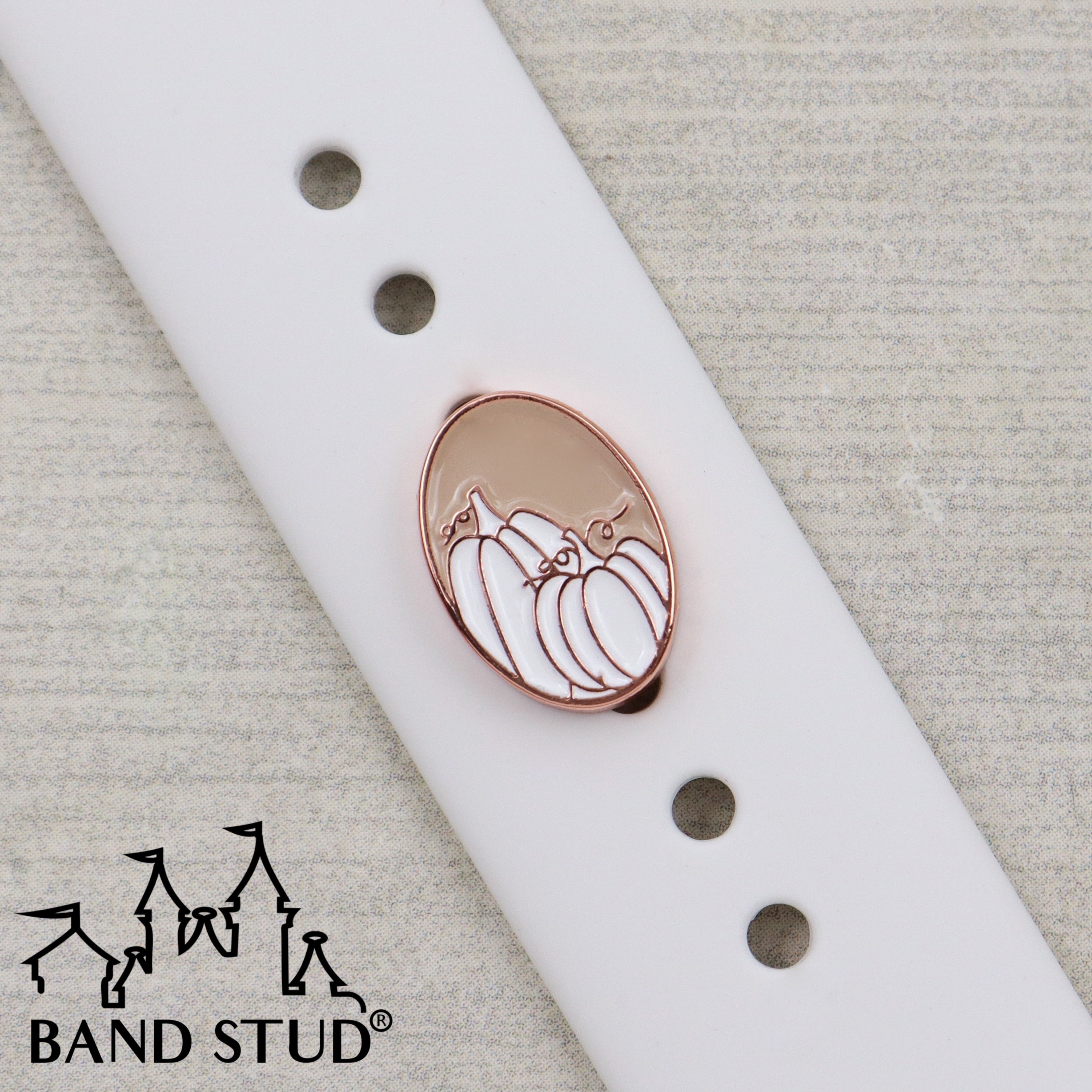 Band Stud® - The Neutrals - Pumpkin Patch