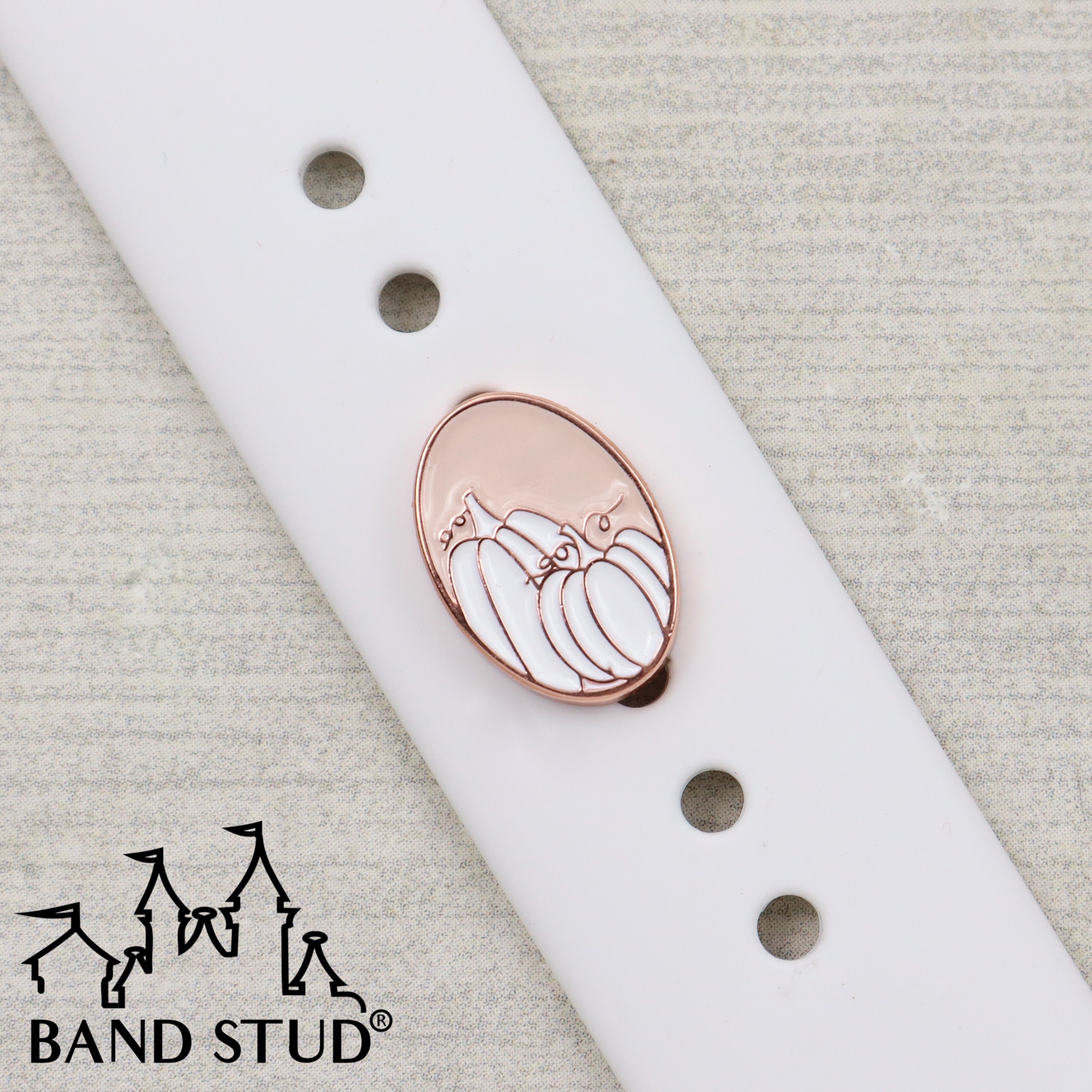 Band Stud® - The Neutrals - Pumpkin Patch