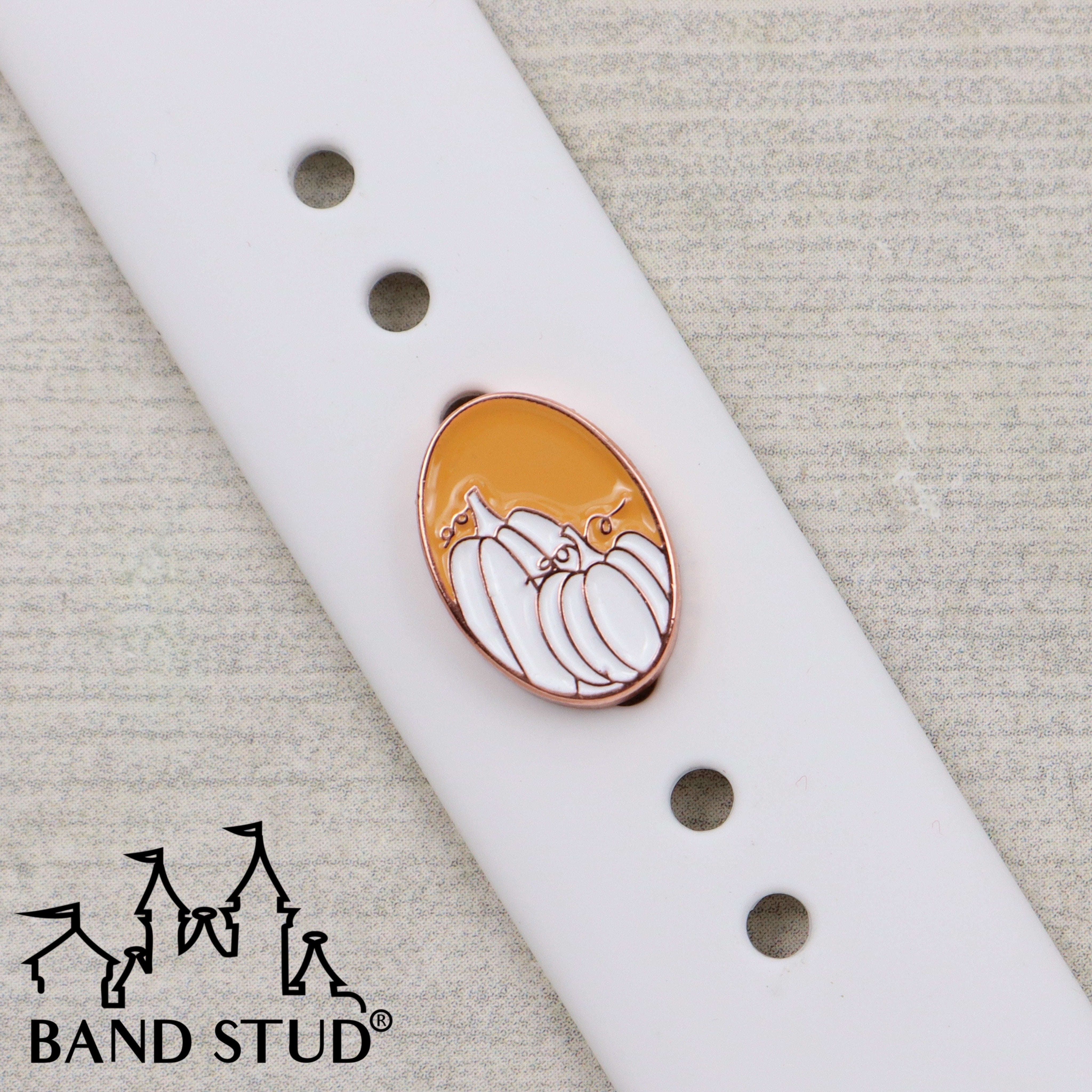 Band Stud® - The Neutrals - Pumpkin Patch