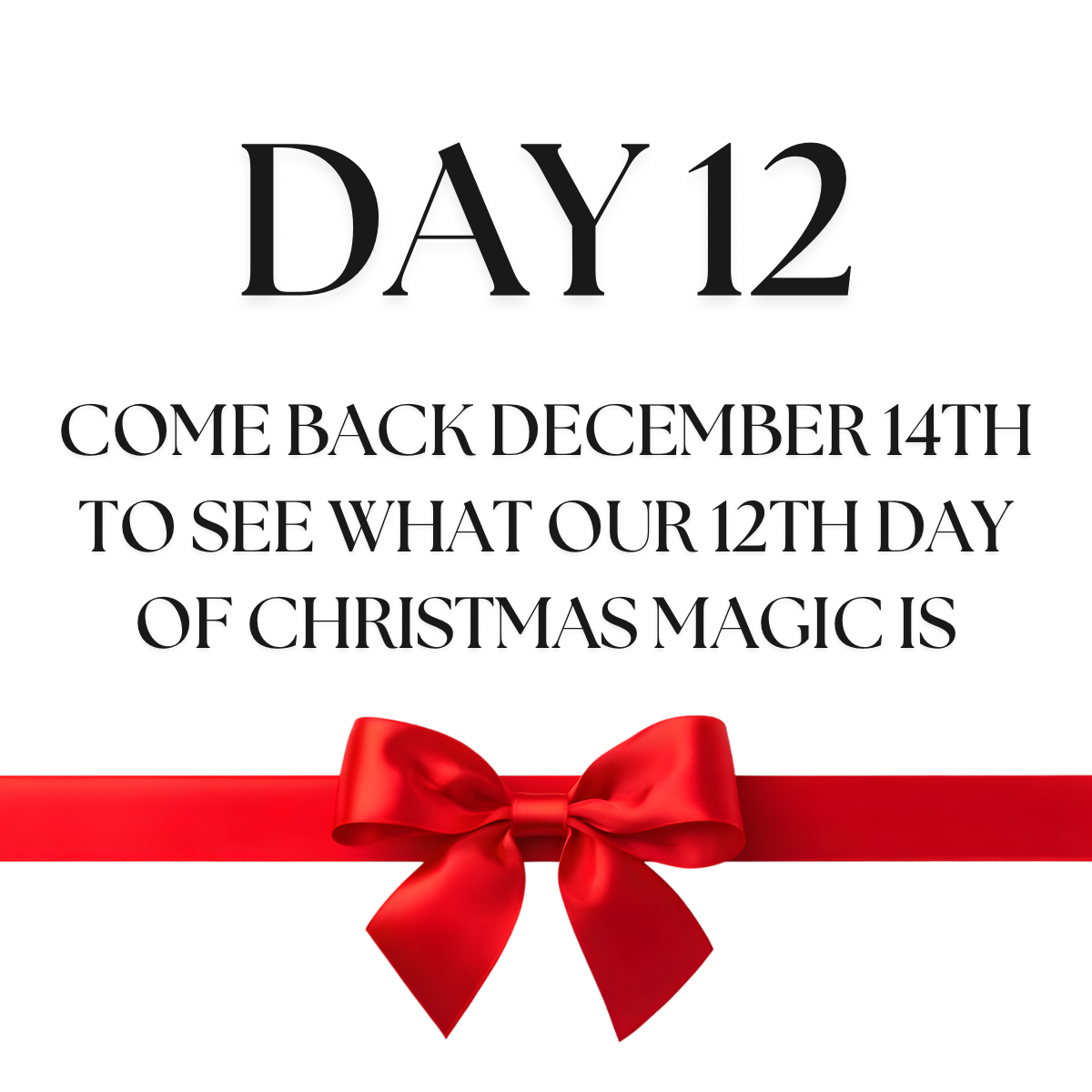 🎁DAY 12