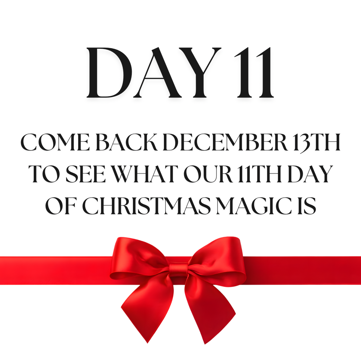 🎁DAY 11