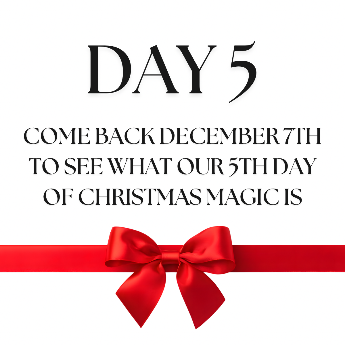 🎁DAY 05